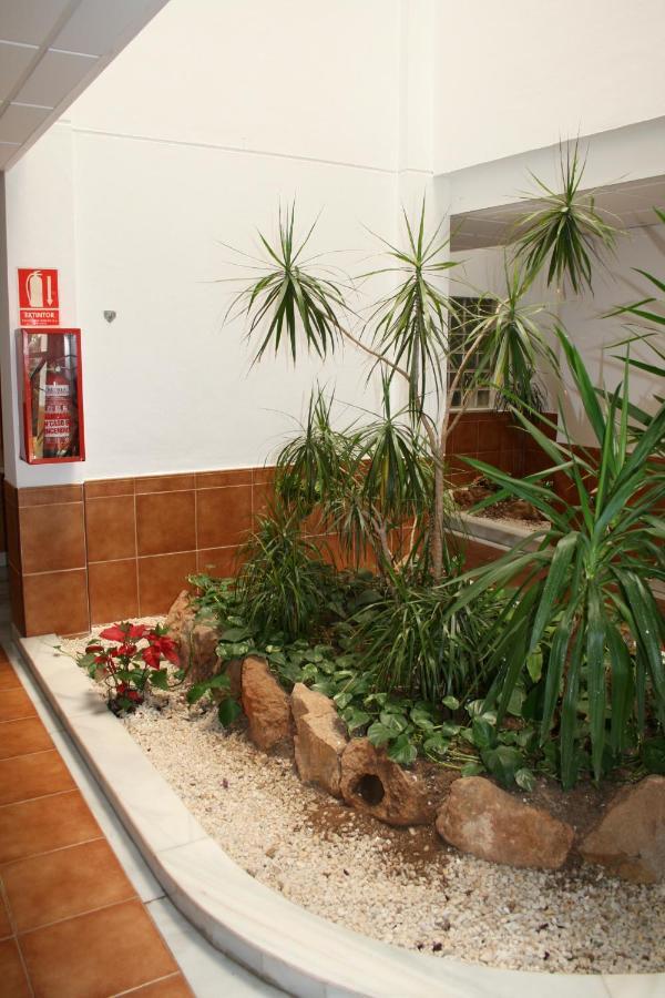 Apartamento Ensenada ألميريمار المظهر الخارجي الصورة